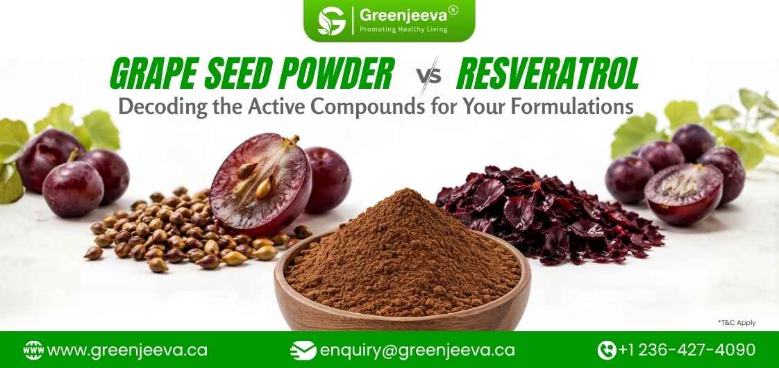 Grape Seed Powder vs. Resveratrol: What Canadian Formulators Need to Know Before Sourcing